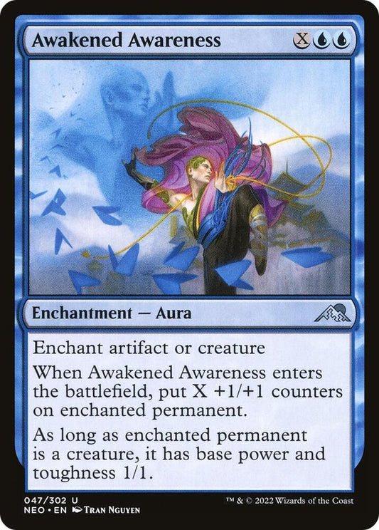 Awakened Awareness U047