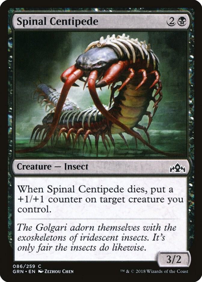 Guilds of Ravnica: Spinal Centipede