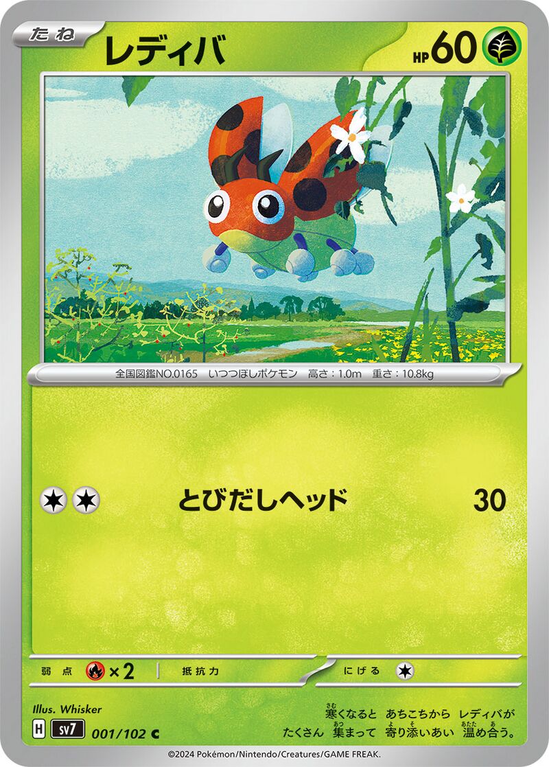 Ledyba 002/142