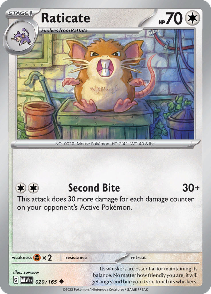 Raticate - 020/165