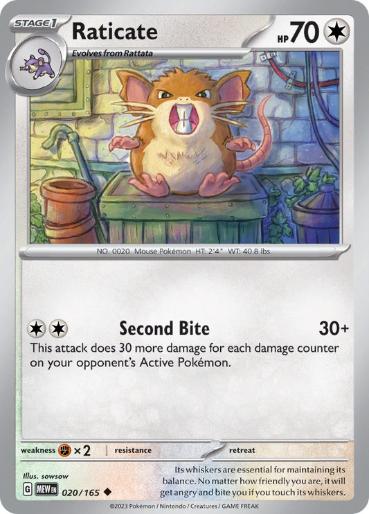 Raticate - 020/165